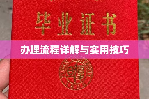 乌拉特后旗办理流程详解与实用技巧